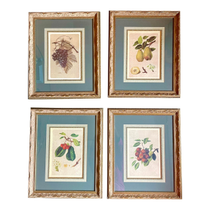 Set of Four Beautifully Framed Botanical Prints
