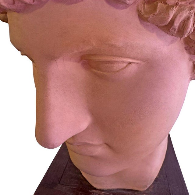 Classical Roman Terracotta Bust For Sale In San Diego - Image 6 of 7