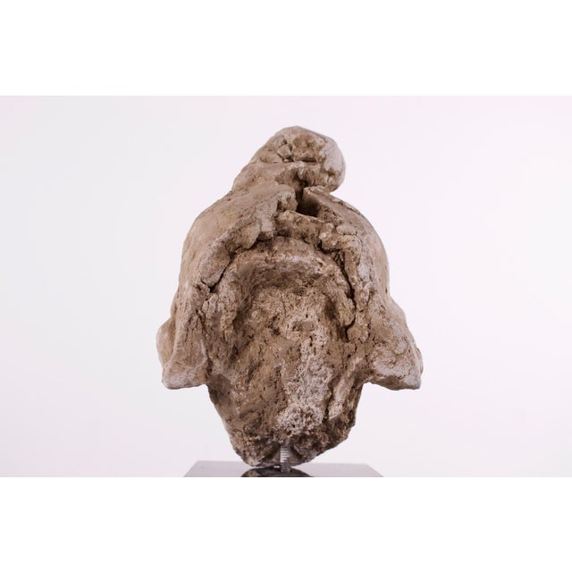 Gandhara Artist, Head of Bodhisattva, 1800s, Stucco For Sale - Image 5 of 10