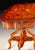 Handcrafted in Italy, this accent chairside table features floral inlays across the shaped top, apron, and lower shelf....