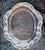 1970s Vintage French Fish Serving Platter in Satin-Finished Crystal Glass by Lalique, 1970s For Sale - Image 5 of 6
