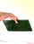 Lovely vintage Kelly Green clutch purse.