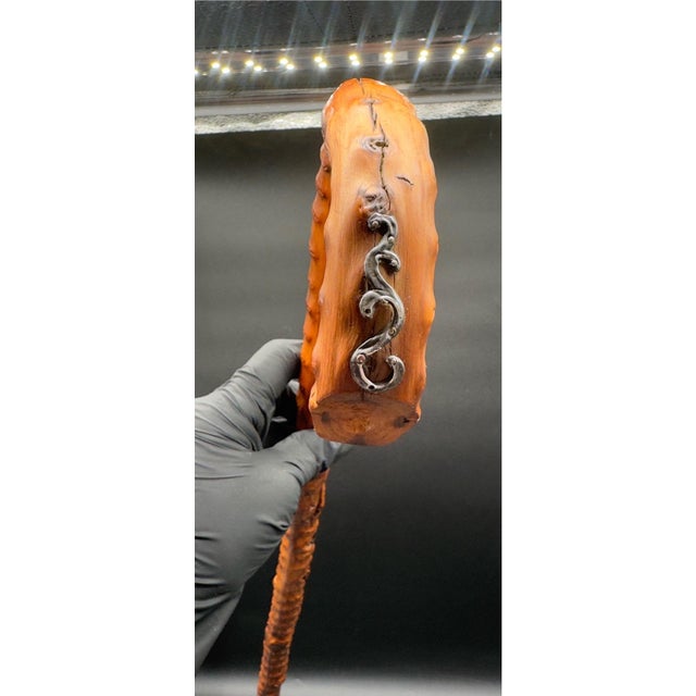 Beautiful Brussel Sprout Stalk Cane. This cane was popular during the Victorian times and the early 20th century. This...