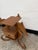 Mid-Century Wooden Side Table in the shape of Seahorse, 1960s For Sale - Image 4 of 10
