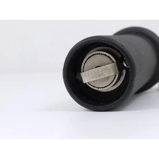 Cast-Iron Pepper Salt Mill with Peugeot Grinder attributed to Carl Auböck, 1970s For Sale - Image 9 of 10