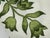 Ivory Celerie Kemble for Schumacher Hothouse Flowers Pillows, Pair For Sale - Image 8 of 12