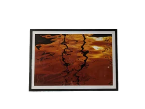 "Tangerine Sunset" Modern Framed Photograph by Lauren Leigh Hunter
