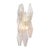Mid-Century Modern Iridescent Venetian Glass Sconces, Polyhedral, Murano, Italy For Sale - Image 3 of 9