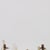 Decoration - Set of four Napoleon III wall sconces. French Napoleon III; in embossed and gilded bronze. Decorated with...