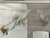 Murano Glass and Brass Wall Lamps, 1970s, Set of 3 For Sale - Image 6 of 18