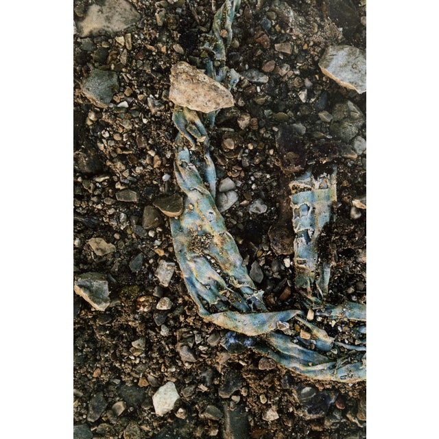 Todd Weinstein Prophet Dead Sea Israel 2013 Signed Contemporary Photography For Sale In Detroit - Image 6 of 6