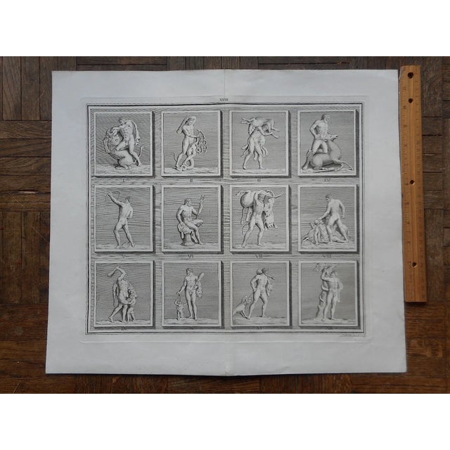 Traditional Antique "Hunter & Prey" Folio Engraving For Sale - Image 3 of 4