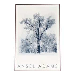 1948 Ansel Adams Oak Tree Snowstorm, Yosemite National Park Photograph Art Print For Sale