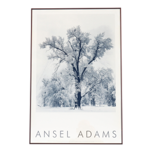 1948 Ansel Adams Oak Tree Snowstorm, Yosemite National Park Photograph Art Print