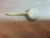 Vintage Hand Painted Nippon Moriage 3-Piece Gravy Boat Set For Sale - Image 4 of 6