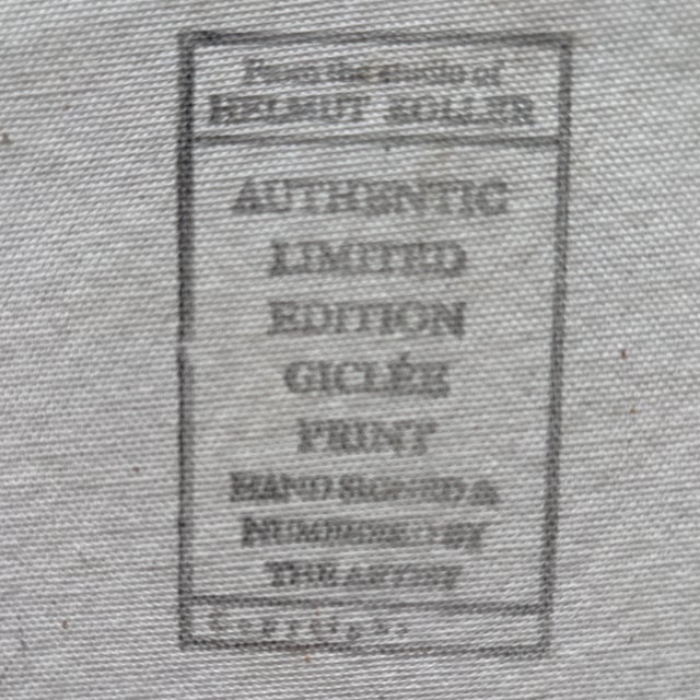 Helmut Koller Baboon and Baby Giclee Painting For Sale In New York - Image 6 of 7