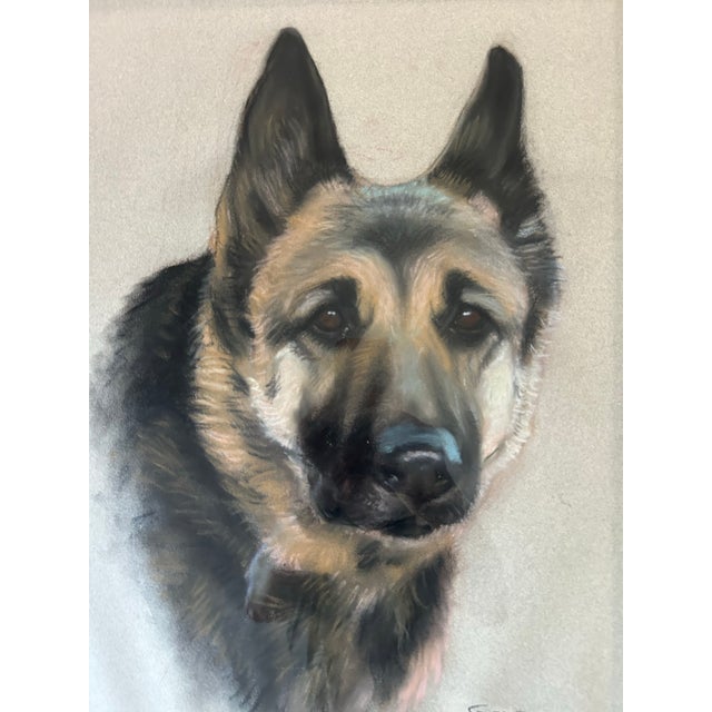 1980s Vintage Pastel Portrait of a German Shepherd Dog For Sale - Image 5 of 7