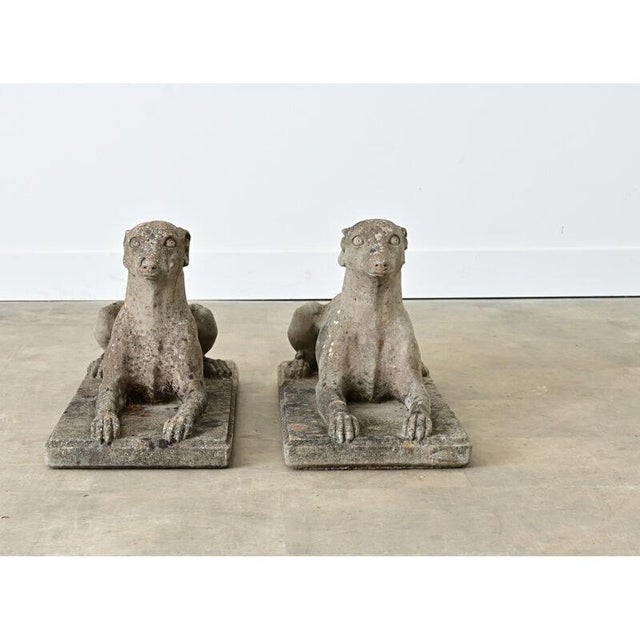 A pair of early to mid-20th century English Whippet dogs (resembling greyhounds) made of cast, reconstituted stone that...