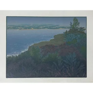 1985 "Through a Dark Time" Linocut Numbered 23/30 by Teri Malo