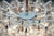 Ice Glass Chandelier from Kalmar, 1950s For Sale - Image 14 of 16