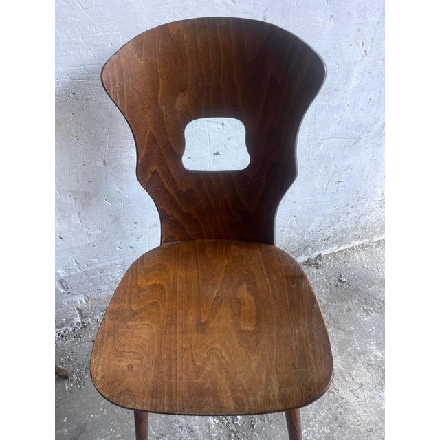 Plywood Dining Chairs from Baumann, France, 1950s, Set of 6 For Sale - Image 8 of 9