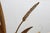 Sheaf of Wheat Coffee Table in the style of Coco Chanel, France, 1960 For Sale - Image 4 of 12