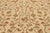 Early 20th Century Antique Portuguese Needlepoint Arraiolos Rug, 07'11 X 11'02 For Sale - Image 5 of 10