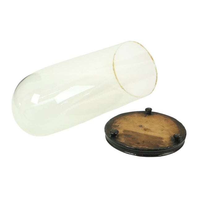 Large Antique Mouth-Blown Glass Dome, 1890s For Sale - Image 12 of 14