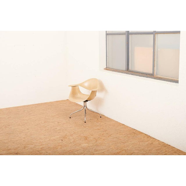 DAF Chair in Fiberglass by George Nelson for Herman Miller, 1958 For Sale - Image 13 of 14