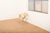 DAF Chair in Fiberglass by George Nelson for Herman Miller, 1958 For Sale - Image 13 of 14