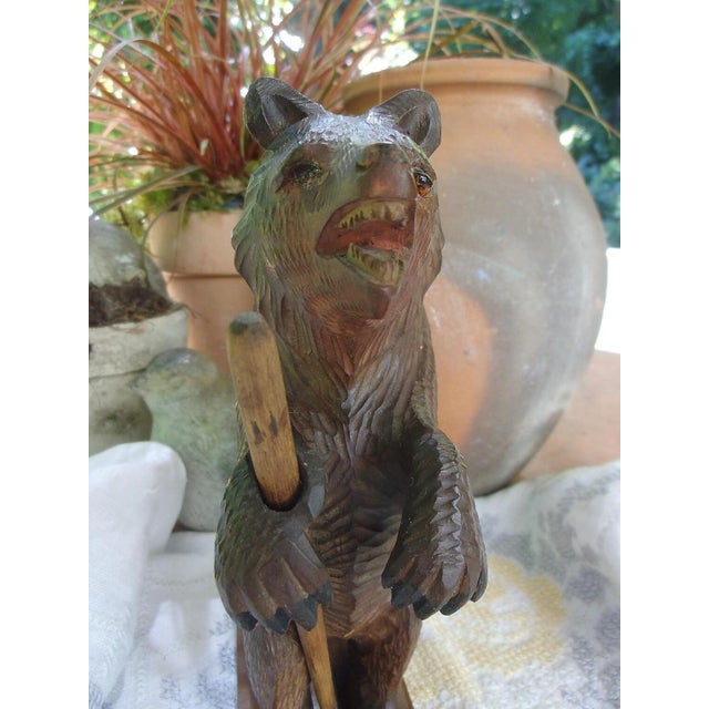 Antique Bear from the Black Forest, 1890s For Sale - Image 10 of 12
