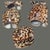 Late 20th Century Vintage Nautical Sea Life Table Decor Seven Tiger Cowrie Shell Napkin Rings For Sale - Image 5 of 7