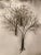 Vintage Metal Tree Wall Art Sculpture For Sale - Image 5 of 10