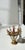 Vintage Toledo Cocktail Sword Skewers, 1970s, Set of 8 For Sale - Image 6 of 7