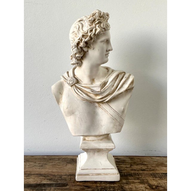 Ceramic Apollo Belvedere Bust Sculpture For Sale - Image 14 of 18