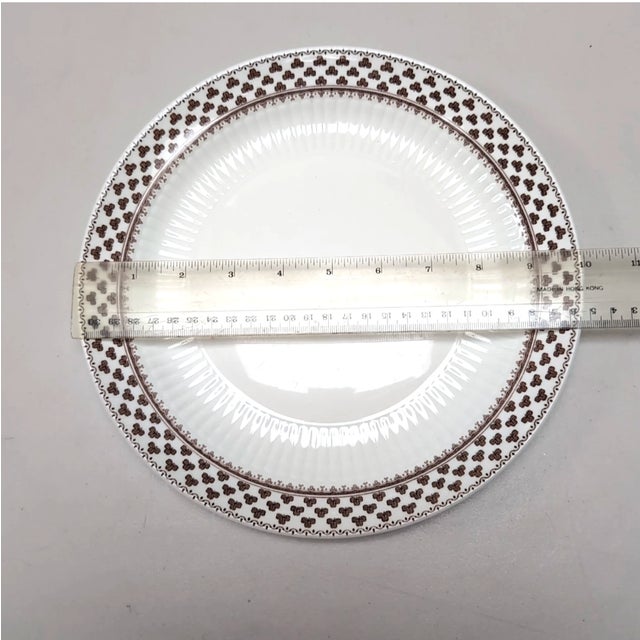 Ceramic Vintage Adams Sharon Ironstone Replacement Dinner Plates Shamrocks 10 in 25.5 Cm Retired Pattern - Set of 4 For Sale - Image 7 of 8