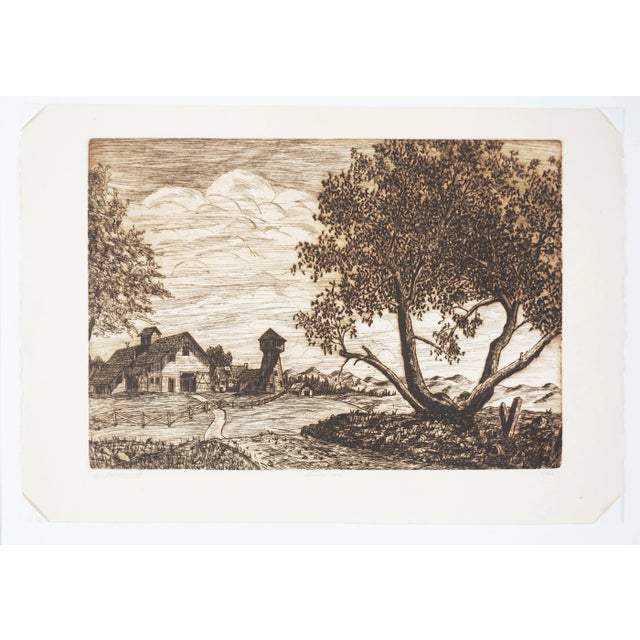 Vintage California Wine Country Etching - "Sonoma Oak" Landscape Wonderful iconic wine country scene of large California...