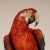 Ceramic Art Deco Ceramic Parrot Italian Sculpture Majolica Bird Hand Crafted Macaw Parrot For Sale - Image 7 of 12