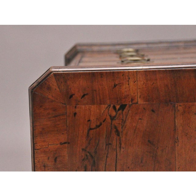 Antique Early 18th Century George II Norfolk Chest For Sale - Image 12 of 13