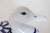 Blue and White Dansk Duck Lidded Dish For Sale In Milwaukee - Image 6 of 9