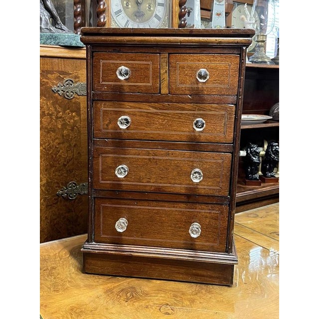 Gold Antique Table Top Collectors Drawers For Sale - Image 8 of 18