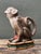 Vintage Glazed Ceramic Monkey Pitcher For Sale - Image 9 of 12