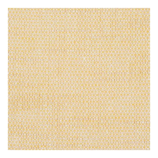 Schumacher Camarillo Weave Indoor/Outdoor Fabric in Yellow For Sale