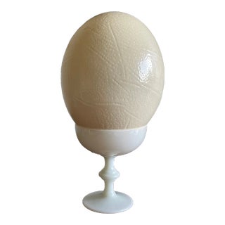 Early 20th Century Natural Ostrich Egg and French Opaline Portieux Vallerystahl Goblet For Sale