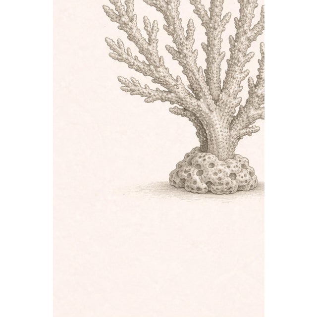 Dove Gray Branching Coral Study, Minimal Coastal Botanical Art Print, 24" × 36" For Sale - Image 8 of 10