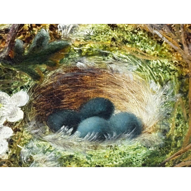 Antique Victorian Still Life Oil Painting by Oliver Clare, Signed Floral Blossom & Bird’s Nest With Blue Eggs, c.1880, Ornate Gilt Frame For Sale - Image 4 of 18