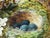 Oliver Clare Victorian Floral Still Life Oil Painting With Bird’s Nest & Blue Eggs c.1880–1890 For Sale - Image 4 of 18