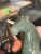 Fine Chinese 18th/19th Century Spinach Green Jade Horse Figurine - Qing Dynasty Style For Sale In Dallas - Image 6 of 6