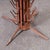 Large French Bottle Drying Rack Model 1400.20777, 1950s For Sale - Image 3 of 9