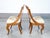 Wood Empire Walnut Chairs, 1800s, Set of 2 For Sale - Image 7 of 18